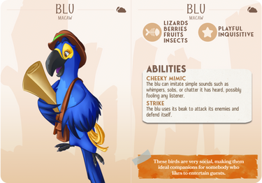 Blu the Macaw Parrot